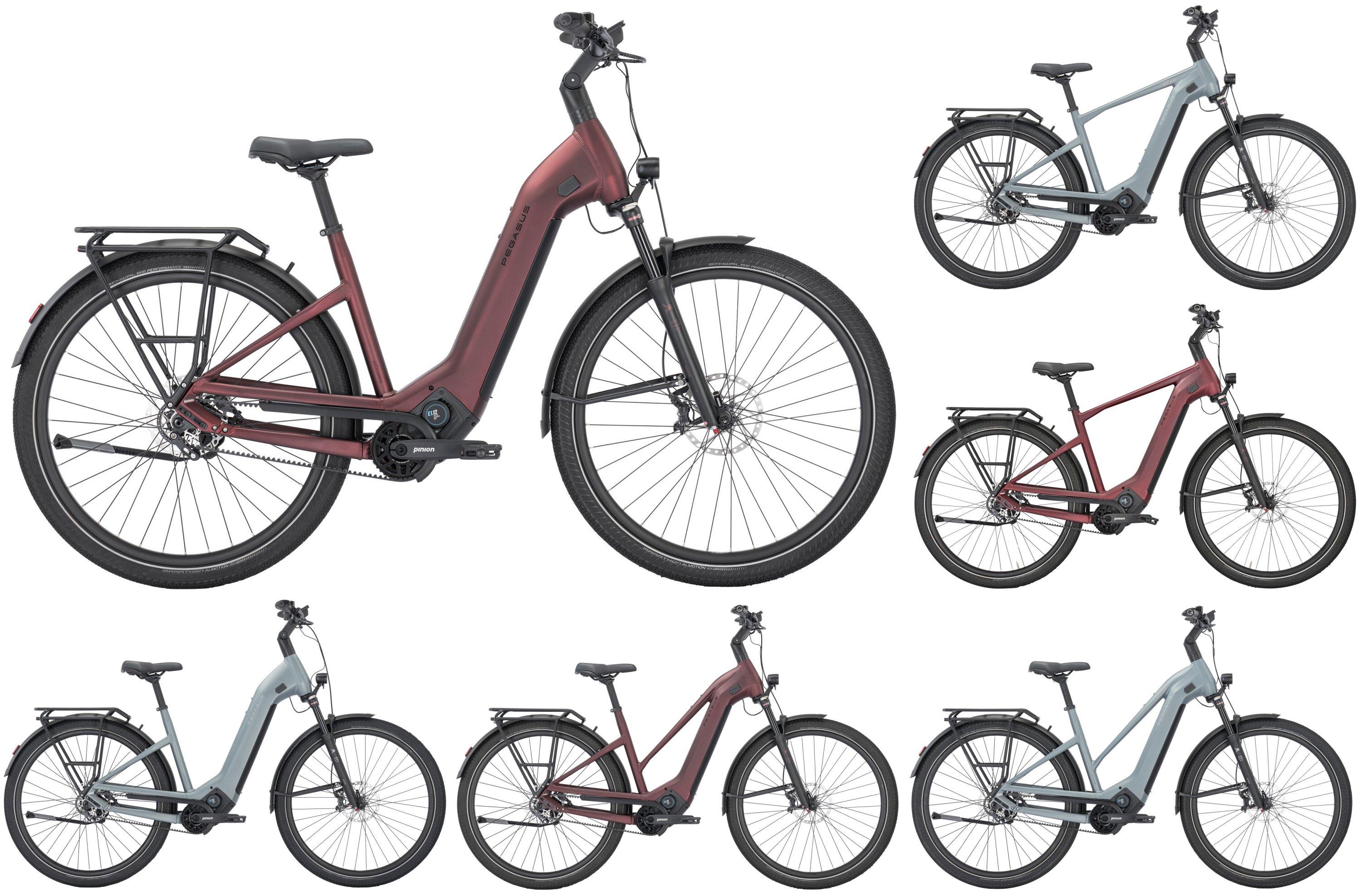 Pegasus Pedelec Estremo Evo-12 Lite FIT 2025