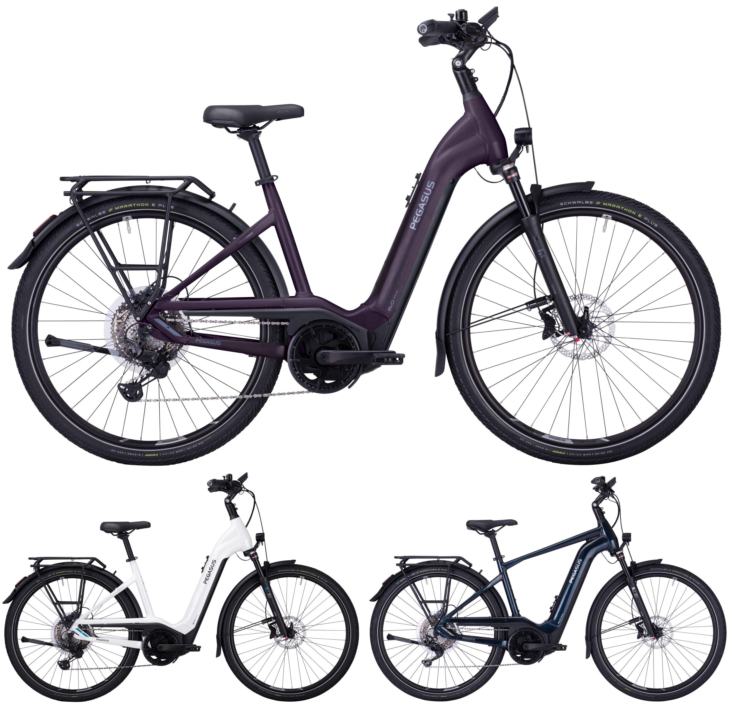 Pegasus Pedelec Premio-Evo-11 "40 Years" 750 2022